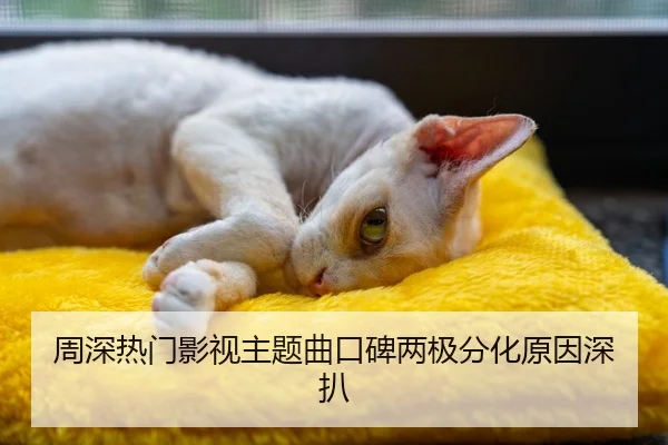 周深热门影视主题曲口碑两极分化原因深扒